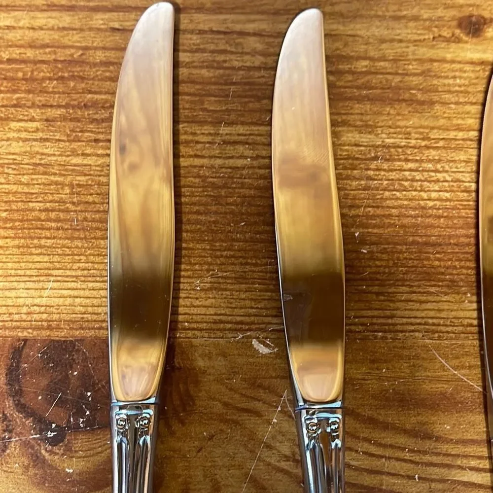 Oneida brahms stainless